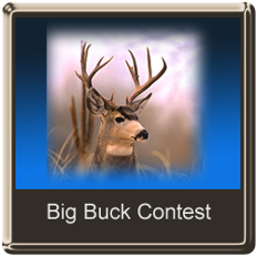 big buck contest